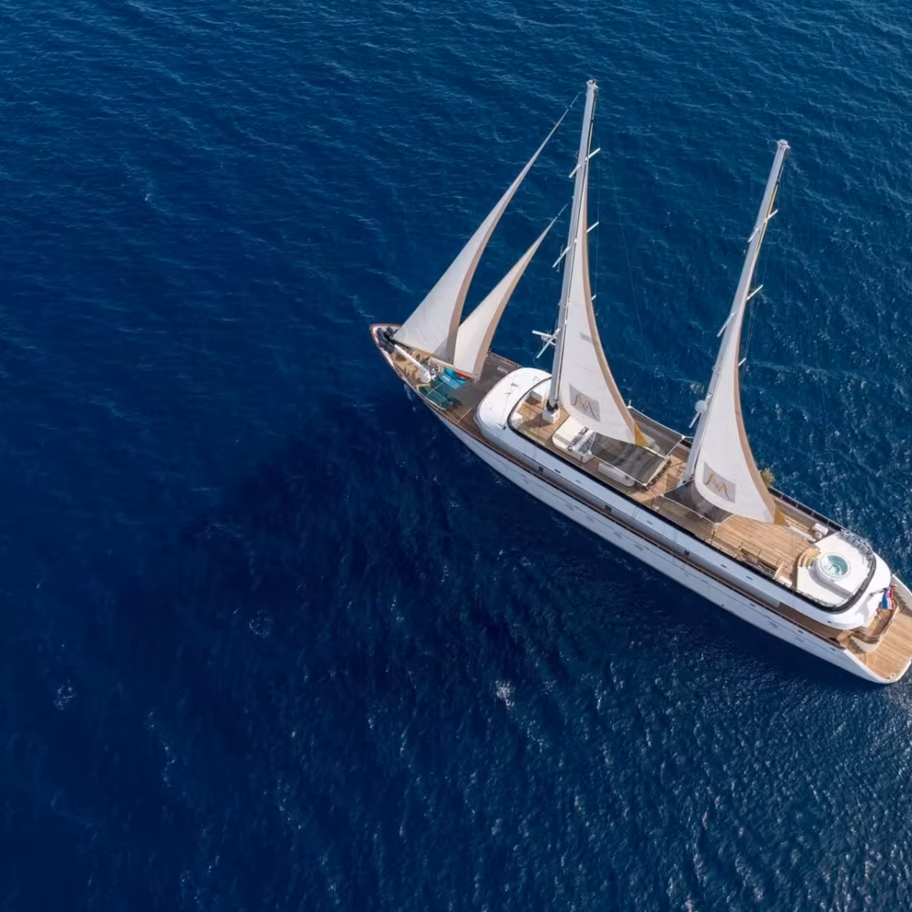 3.-ANIMA-MARIS-Sailing-1-scaled